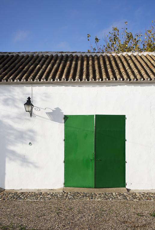 Cuevas Del Pino Turismo Rural Y Emocional Sl Villarrubia Exterior foto